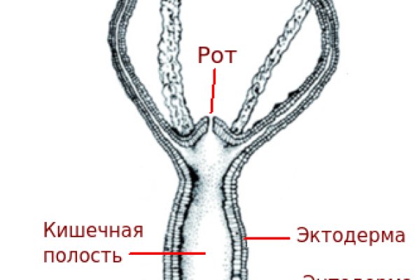 Кракен ссылка зеркало kraken6.at kraken7.at kraken8.at