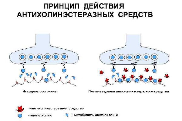 Омг зеркало вход