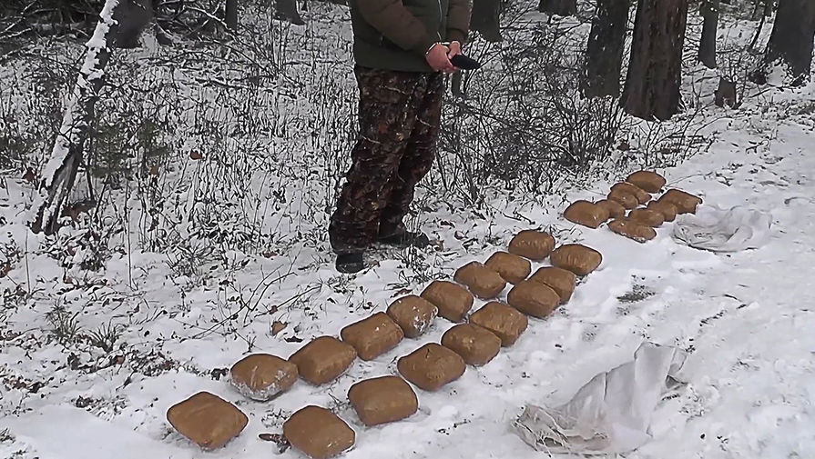 Мега сайт в тор не работает